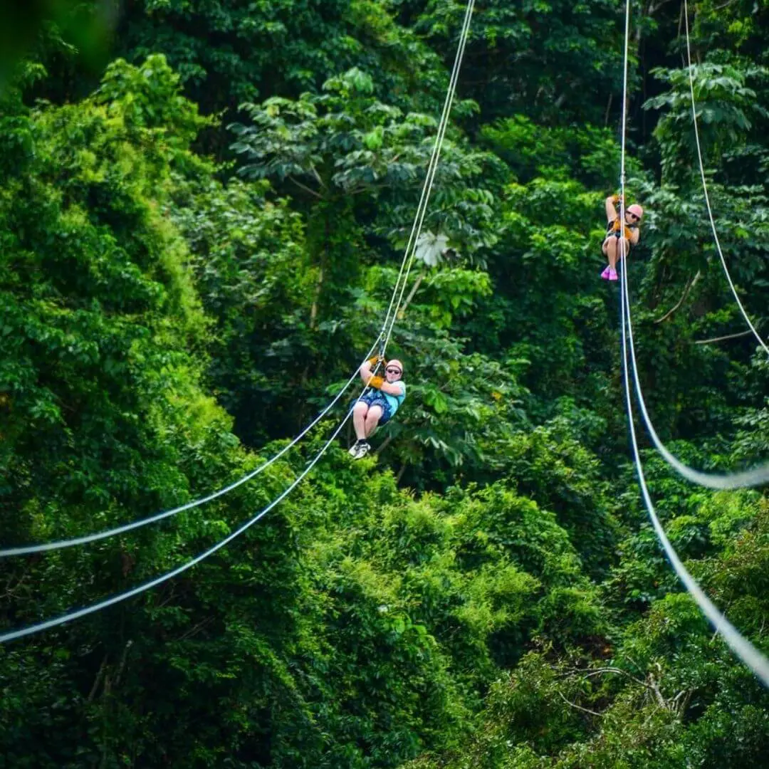 Avventura in Zip line